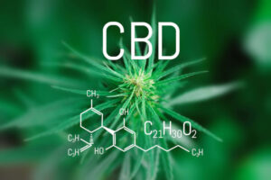 CBD